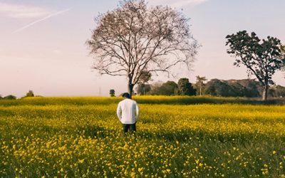 Primavera y cambios de ánimo: lo que te pasa tiene una base biológica (y puedes gestionarlo)